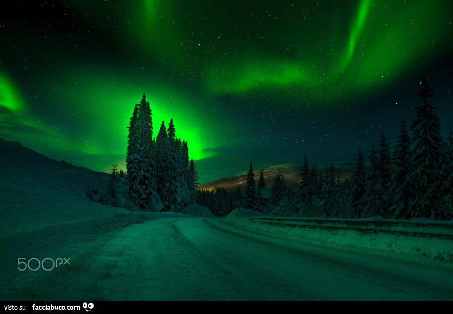 Aurora boreale e neve