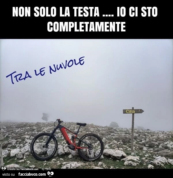 Non solo la testa… io ci sto completamente