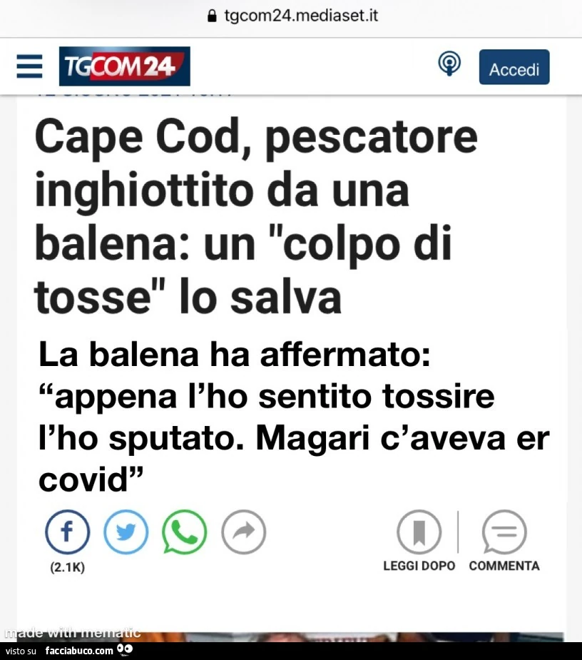 Cape cod, pescatore inghiottito da una balena: un colpo di tosse lo salva