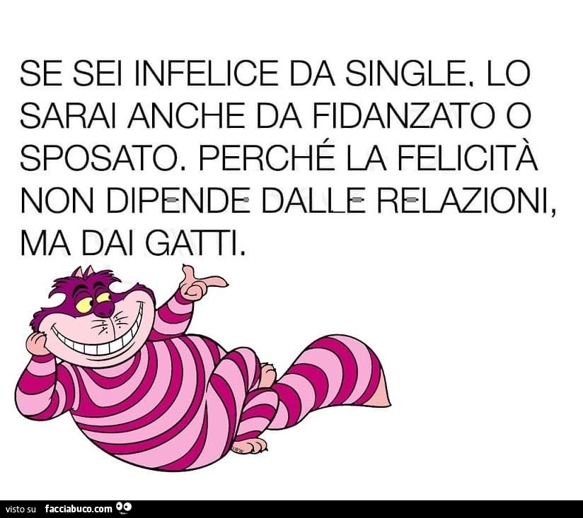 Se sei infelice da single, lo sarai anche da fidanzato o sposato. Perché la felicità non dipende dalle relazioni, ma dai gatti