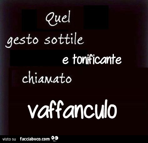 Quel gesto sottile e tonificante chiamato vaffanculo