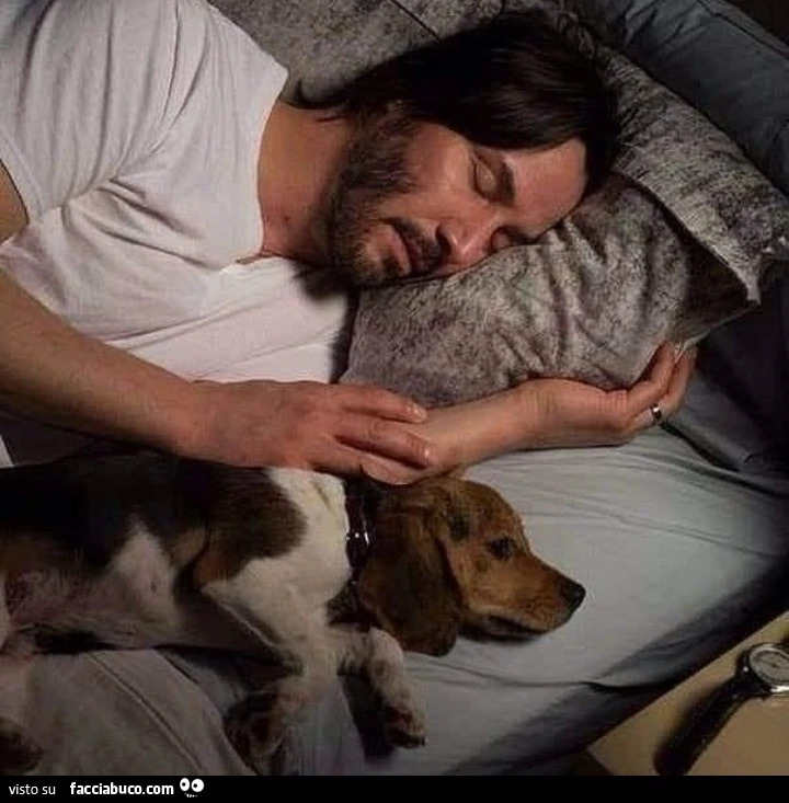 Buongiorno Keanu Reeves animali amore