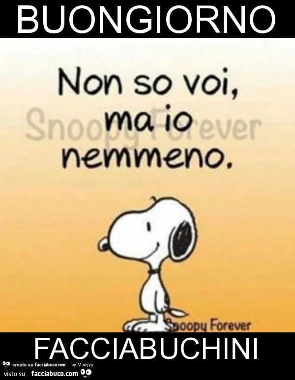 Buongiorno facciabuchini
