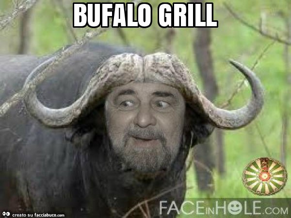 Bufalo grill
