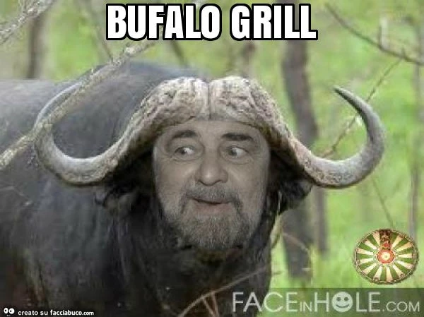 Bufalo grill