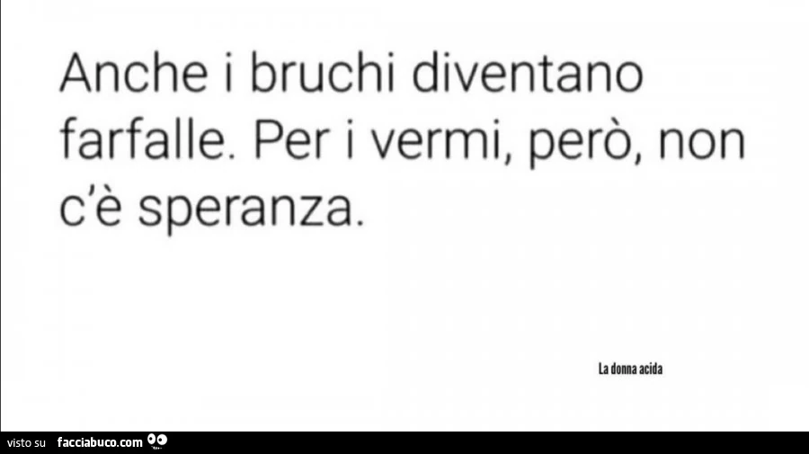 Anche i bruchi diventano farfalle. Per i verrni, però, non c'è speranza