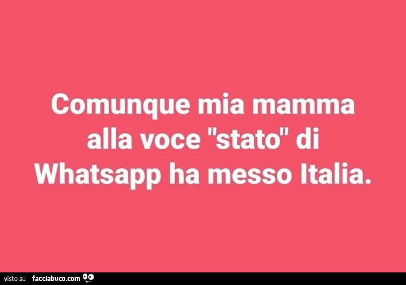 Comunque mia mamma alla voce stato di whatsapp ha messo italia