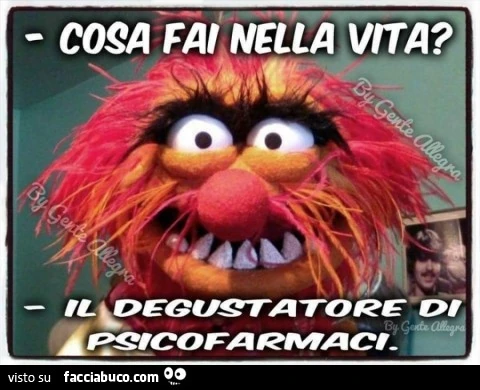 Vaccata