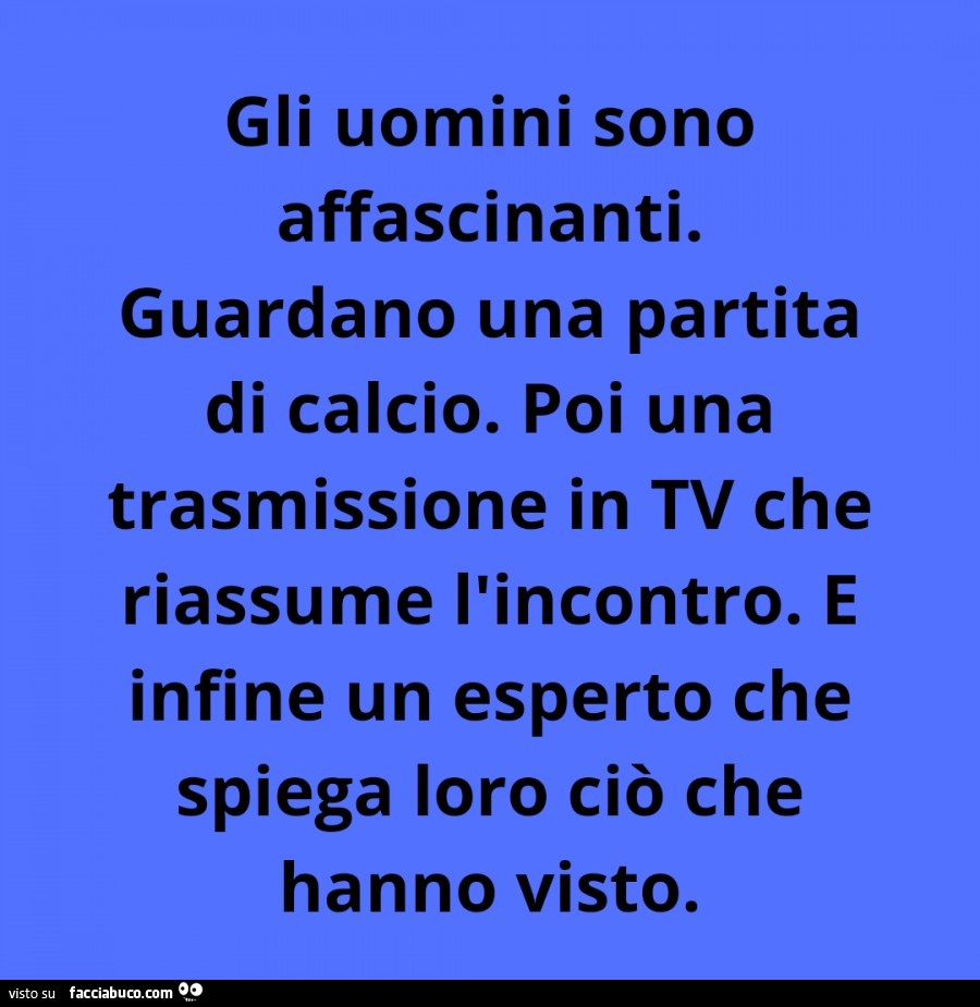 Gli uomini sono affascinanti. Guardano una partita di calcio. Poi una trasmissione in tv che riassume l'incontro. E infine un esperto che spiega loro ciò che hanno visto