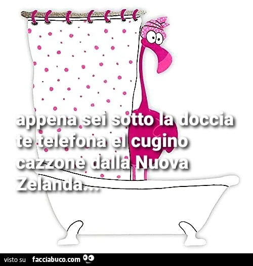 Appena sei sotto la doccia te telefona el cugino cazzone dalla nuova zelanda