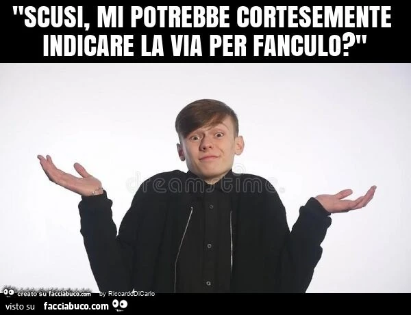 "scusi, mi potrebbe cortesemente indicare la via per fanculo? "