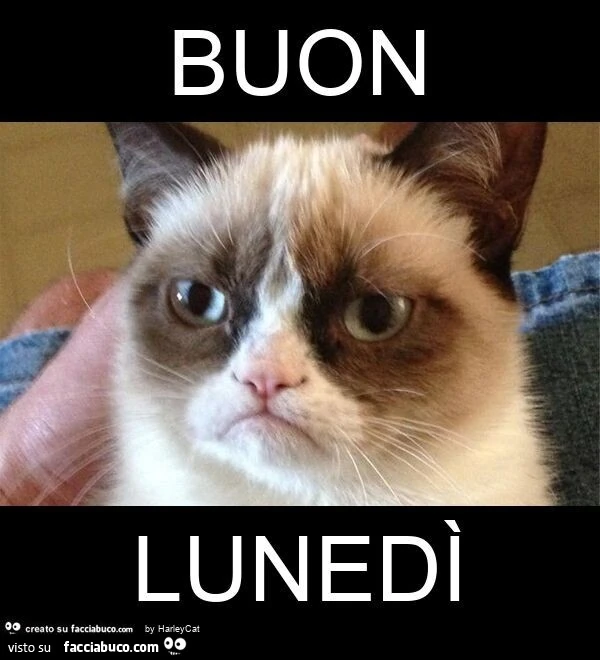 Buon lunedì
