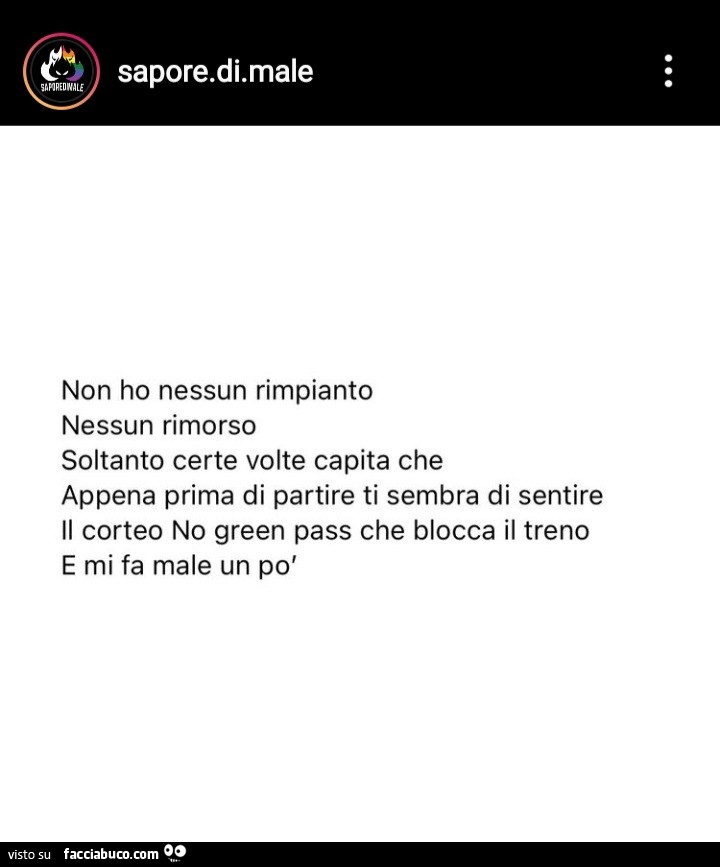 Non ho nessun rimpianto nessun rimorso soltanto certe volte capita che appena prima di partire ti sembra di sentire il corteo no green pass che blocca il treno e mi fa male un po'