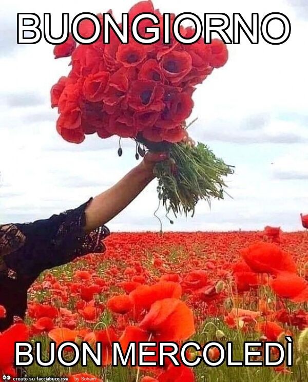 Buongiorno buon mercoledì