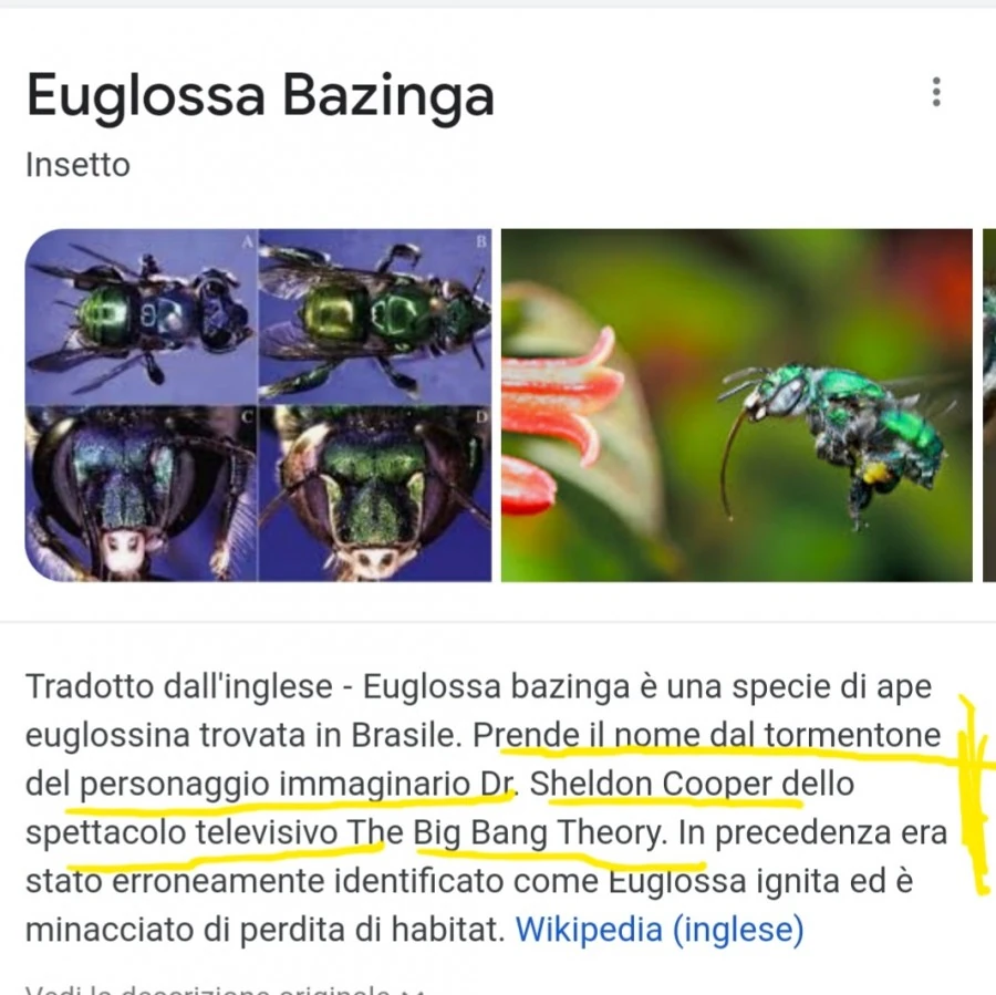 Vaccata