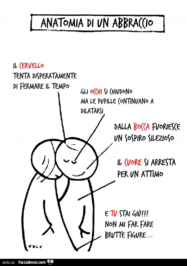 Anatomia di un abbraccio