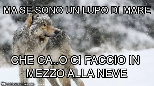 Ma se sono un lupo di mare che ca. O ci faccio in mezzo alla neve