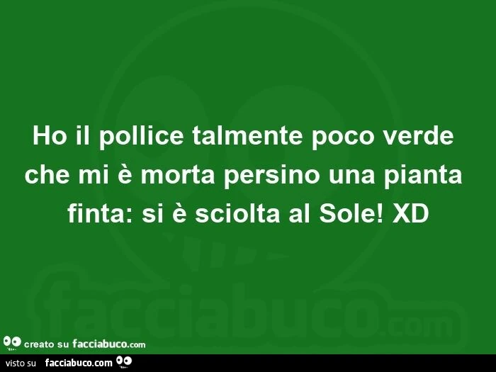 Ho il pollice talmente poco verde che mi è morta persino una pianta finta: si è sciolta al sole