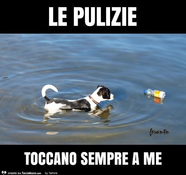 Le pulizie toccano sempre a me