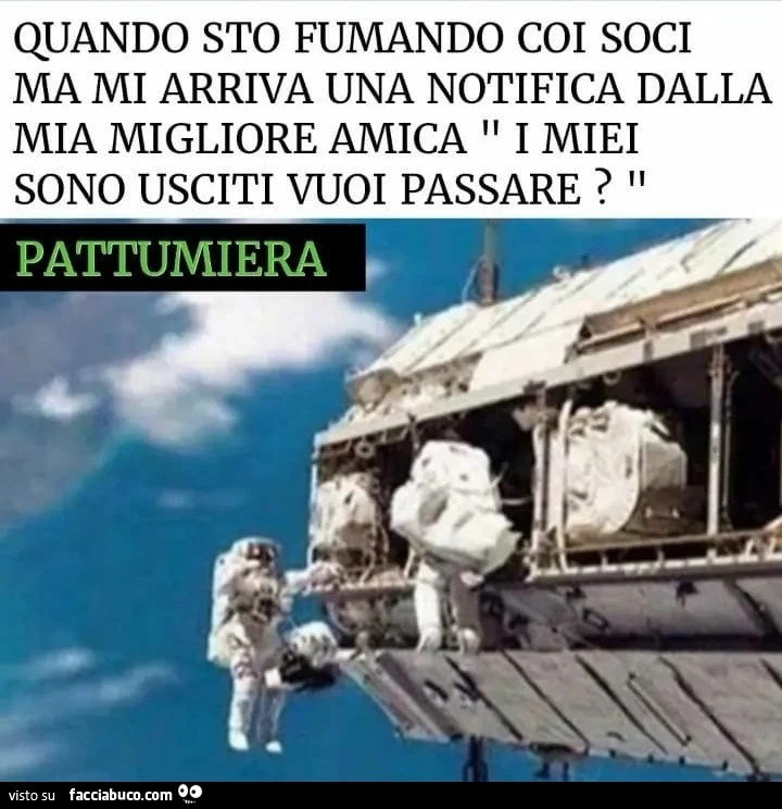Vaccata