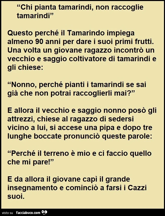 Vaccata