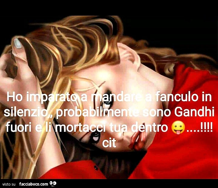 Ho imparato a mandare a fanculo in silenzio, Probabilmente sono Gandhi fuori e li li mortacci tua dentro cit