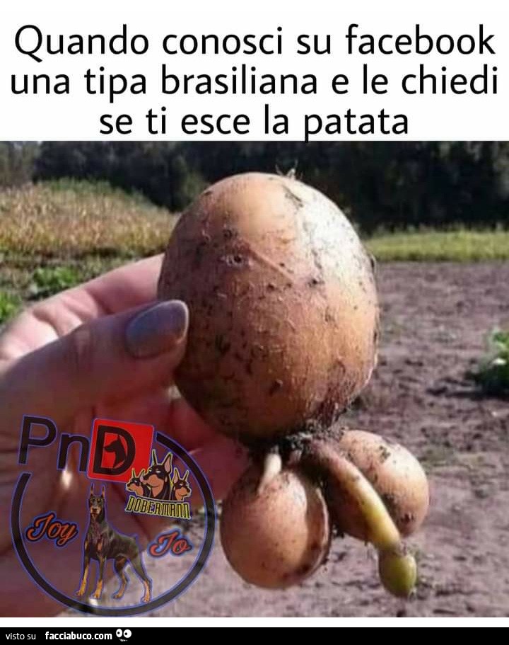 Quando conosci su Facebook una tipa brasiliana e le chiedi