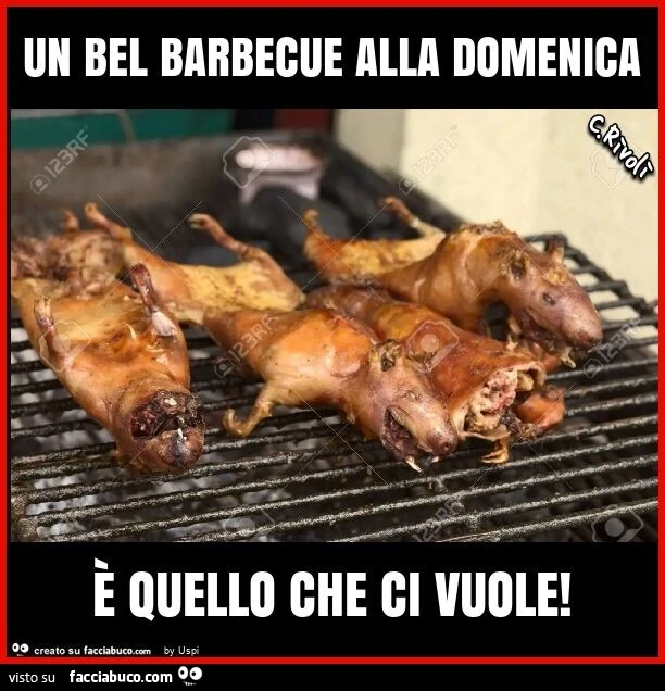 Un bel barbecue alla domenica È quello che ci vuole