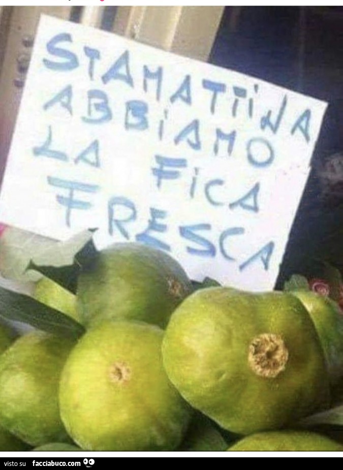 Stamattina abbiamo la fica fresca
