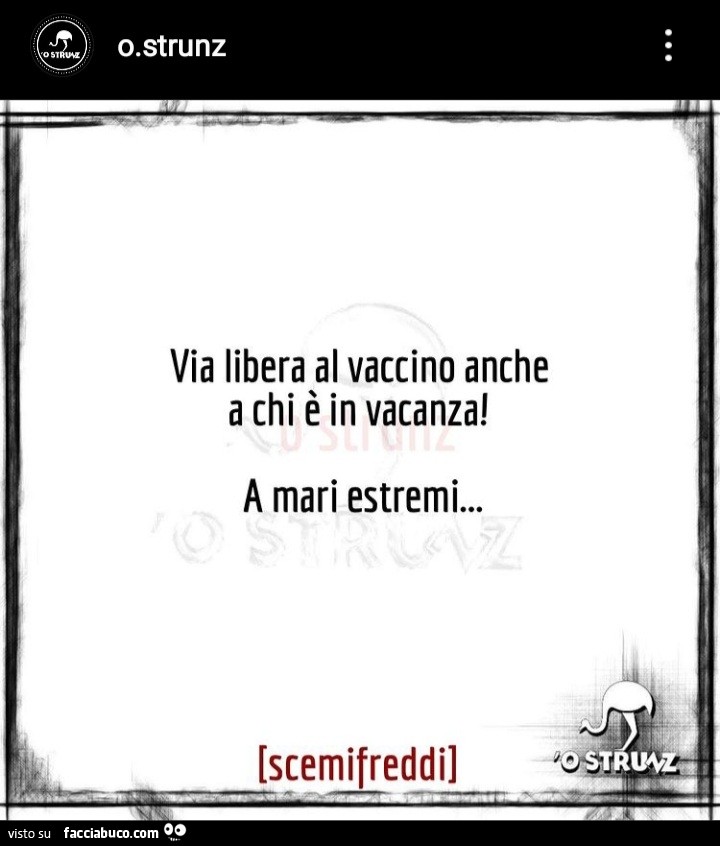 Vaccata