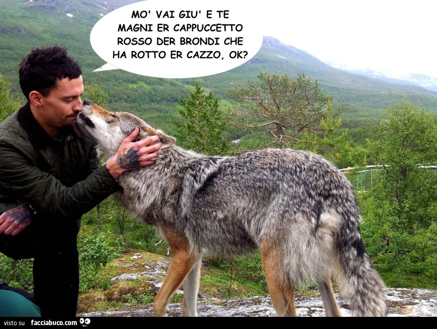 Vaccata