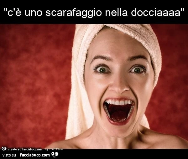 "c'è uno scarafaggio nella docciaaaa"