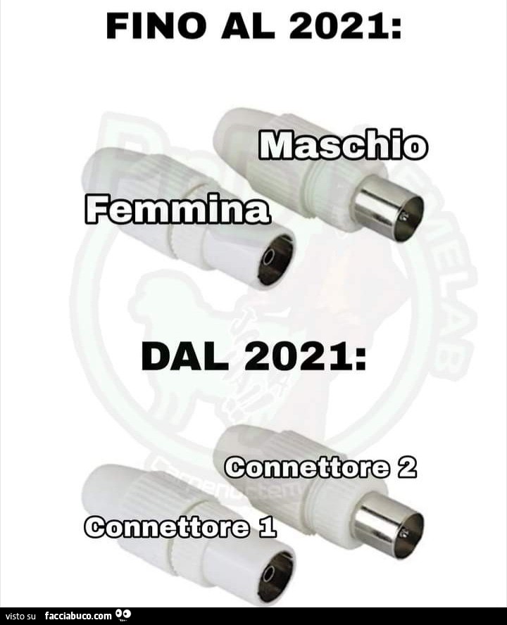Fino al 2021 femmina maschio dal 2021 connettore 1