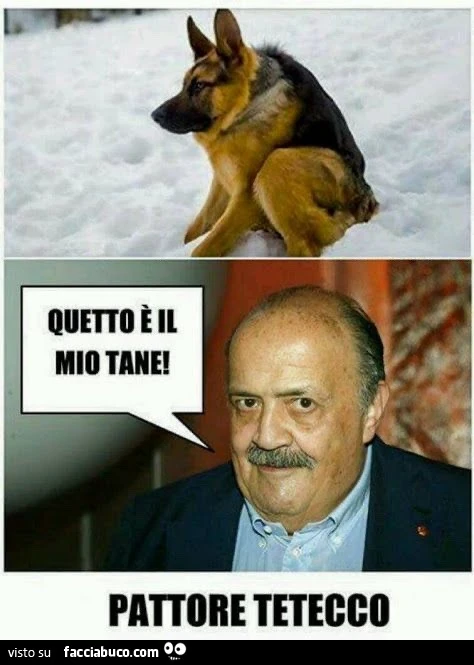 Cane