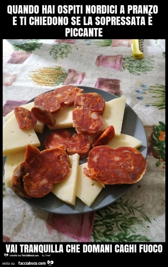 Quando hai ospiti nordici a pranzo e ti chiedono se la sopressata è piccante vai tranquilla che domani caghi fuoco