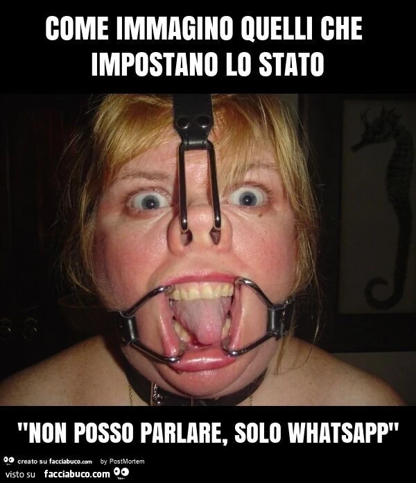 Come immagino quelli che impostano lo stato "non posso parlare, solo whatsapp"