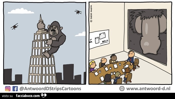 Il pene di King Kong