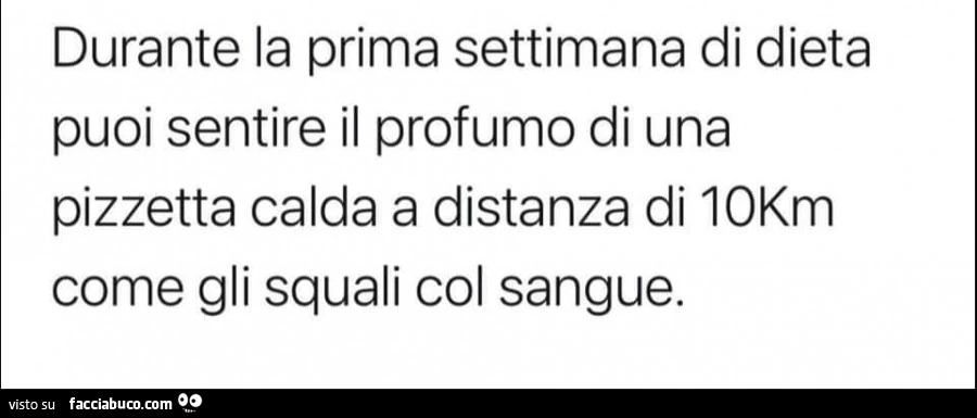 Durante la prima settimana di dieta puoi sentire il profumo di una pizzetta calda a distanza di 10km come gli squali col sangue