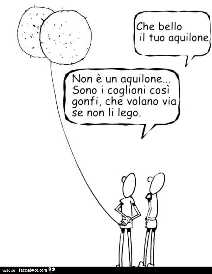 Che bello il tuo aquilone non è un aquilone. Sono i coglioni così gonfi, che volano via se non li lego