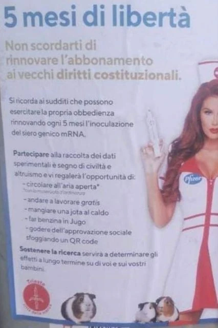 5 mesi di libertà