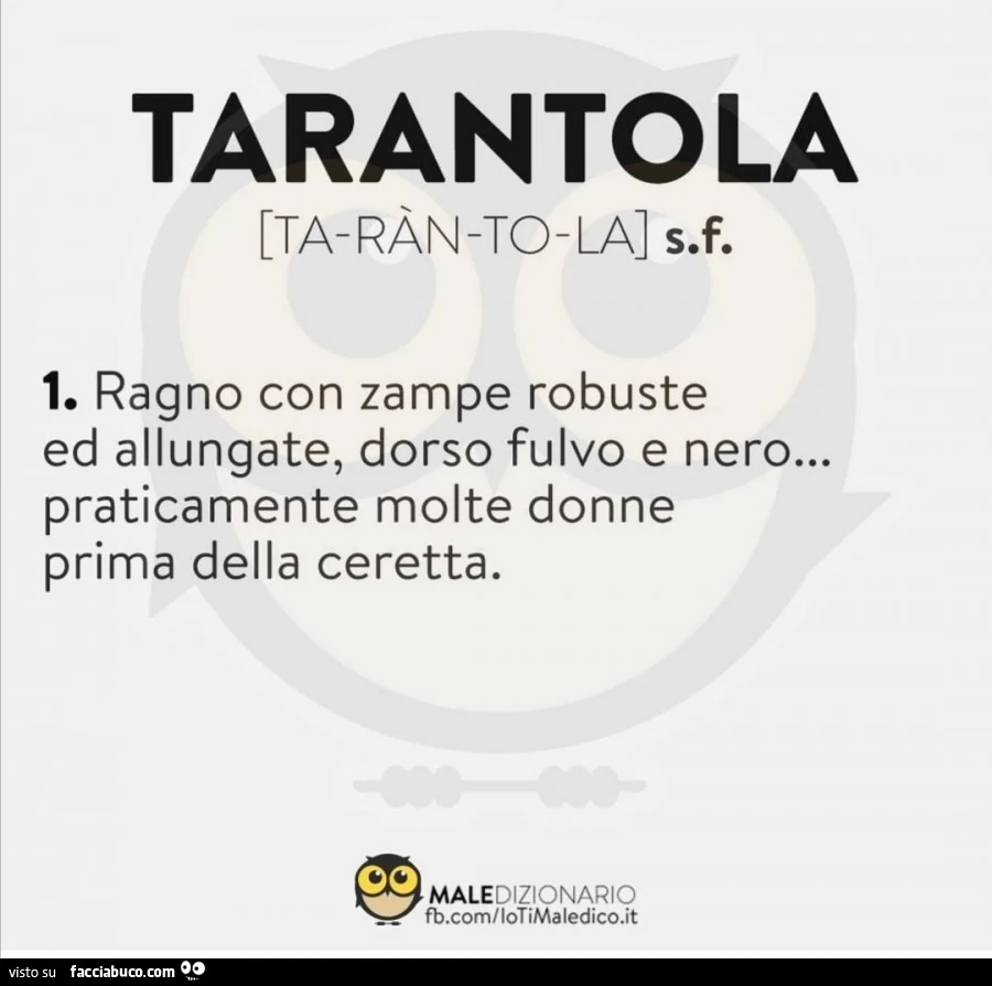Tarantola. Ragno con zampe robuste ed allungate, dorso fulvo e nero&hellip; praticamente molte donne prima della ceretta