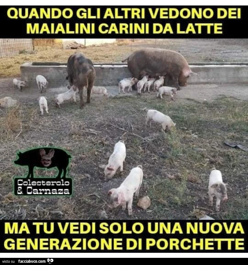 Vaccata