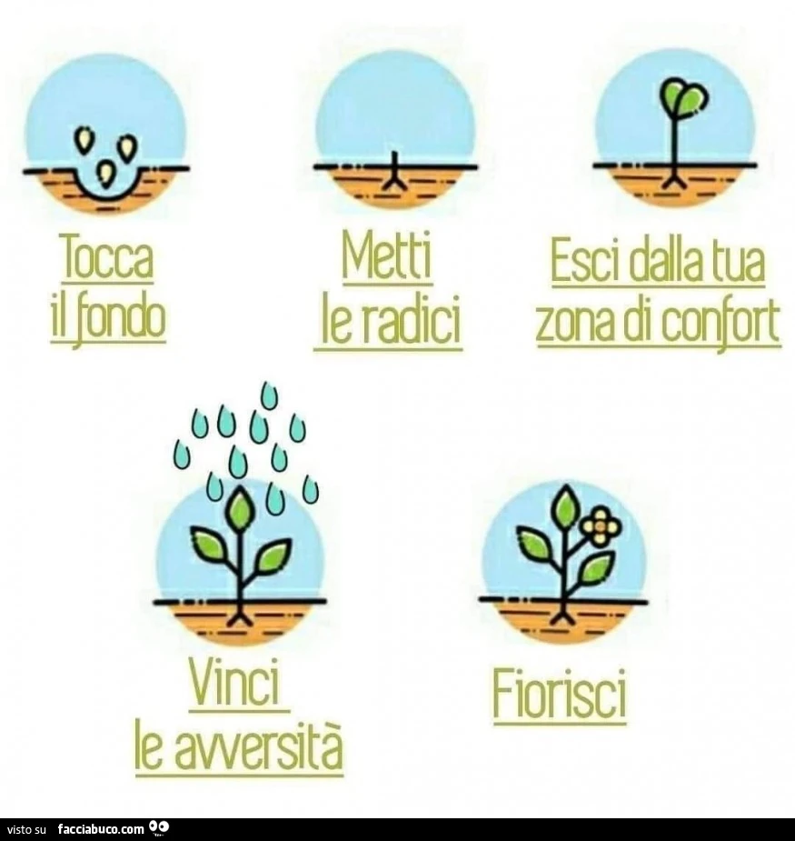 Tocca il fondo. Metti le radici. Esci dalla tua zona di confort. Vinci le avversità. Fiorisci