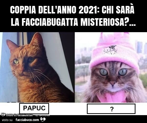 Coppia dell'anno 2021: chi sarà la facciabugatta misteriosa?