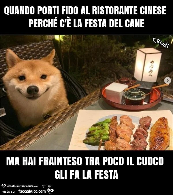 Quando porti fido al ristorante cinese perchรฉ c'รจ la festa del cane ma hai frainteso tra poco il cuoco gli fa la festa