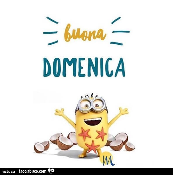 Minion Buona Domenica