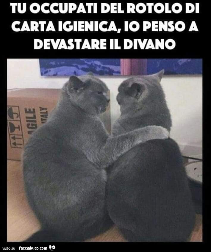 Vaccata