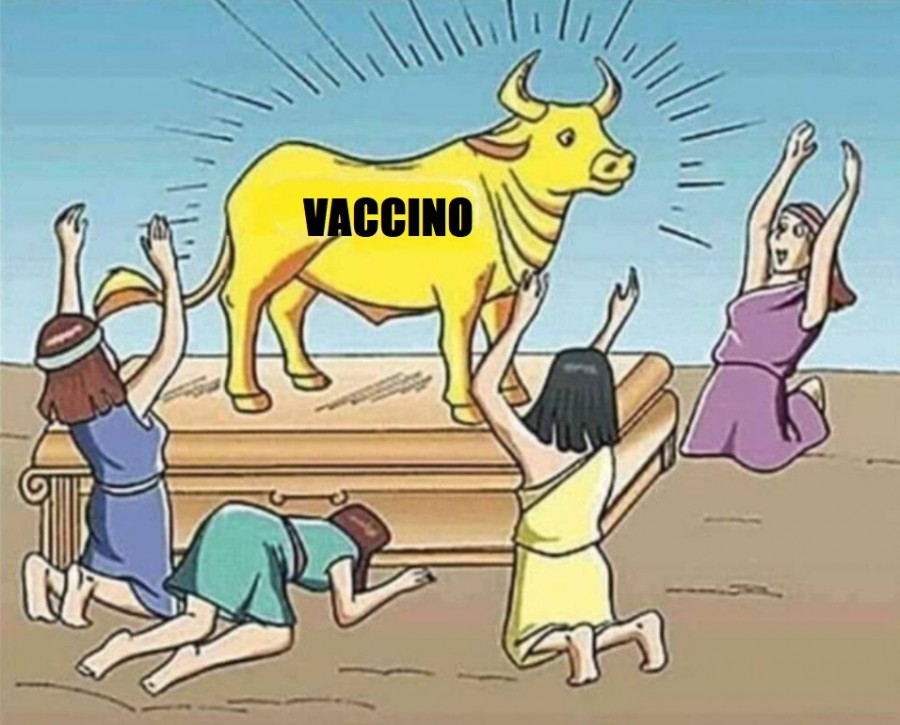 Vaccata
