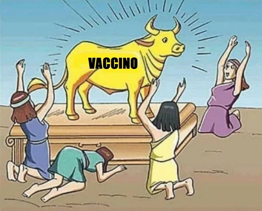 Vaccata