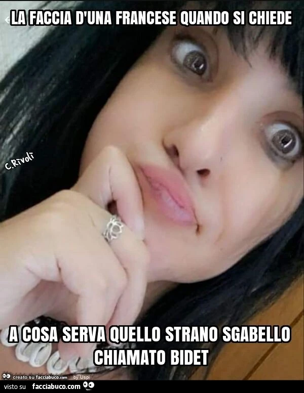 La faccia d'una francese quando si chiede a cosa serva quello strano sgabello chiamato bidet